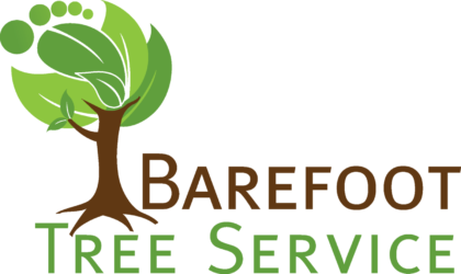 Barefoot Tree Service